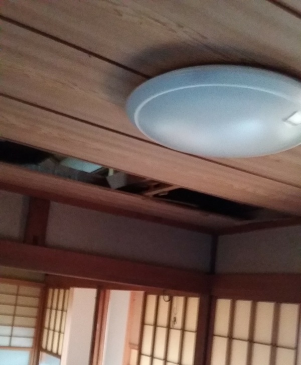ラミ天